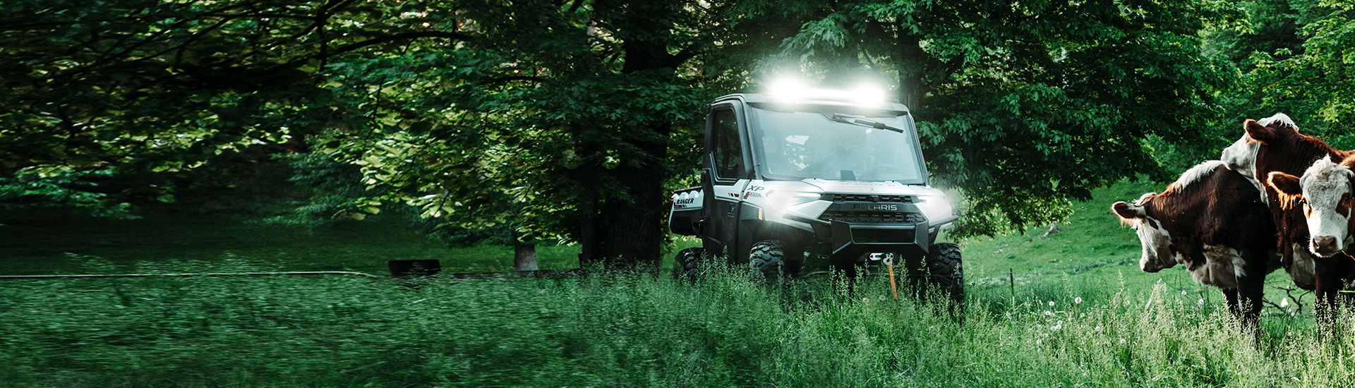 Ranger XP 1000 NorthStar Edition Trail Boss